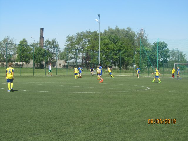 pino 8